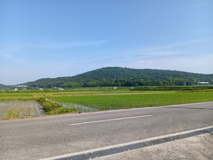 写真.JPG